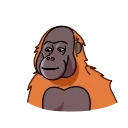 Orangoutang 스티커
