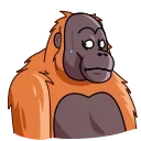 Orangoutang 스티커