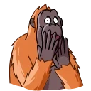 Orangoutang 스티커