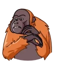 Orangoutang 스티커