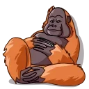 Orangoutang 스티커