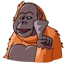 Orangoutang 스티커