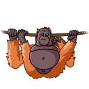 Orangoutang 스티커