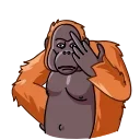 Orangoutang 스티커