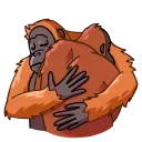 Orangoutang 스티커