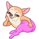 Peachy Сhihuahua 스티커