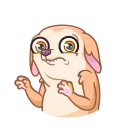 Peachy Сhihuahua 스티커