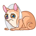 Peachy Сhihuahua 스티커