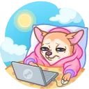 Peachy Сhihuahua 스티커