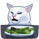 People Memes 스티커