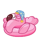 Pool Flamingo 스티커