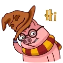 Potter Pig 스티커