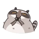 Racoon 스티커