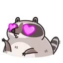 Racoon 스티커