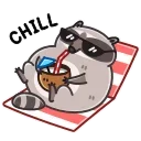 Racoon 스티커