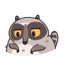 Racoon 스티커