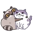 Racoon 스티커