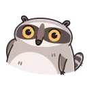 Racoon 스티커