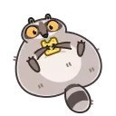 Racoon 스티커