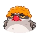 Racoon 스티커