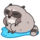 Racoon 스티커