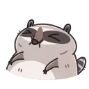 Racoon 스티커
