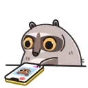 Racoon 스티커