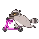 Racoon 스티커