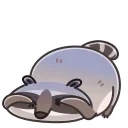 Racoon 스티커