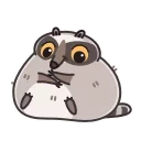 Racoon 스티커