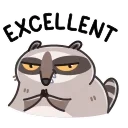 Racoon 스티커