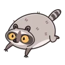 Racoon 스티커