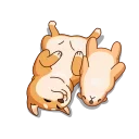 Shiba Inu 스티커