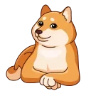 Shiba Inu 스티커