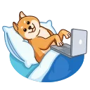 Shiba Inu 스티커