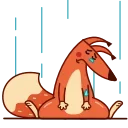 Red Squirrel 스티커