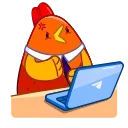 Rooster 스티커