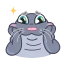 Silly Seal 스티커