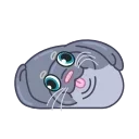 Silly Seal 스티커