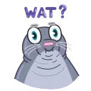 Silly Seal 스티커