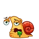 Shelldon 스티커