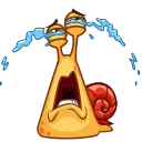 Shelldon 스티커