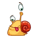 Shelldon 스티커