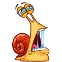 Shelldon 스티커