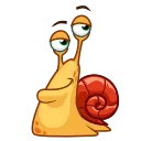 Shelldon 스티커