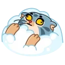 Snow Manul 스티커