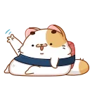 Sushi Cat 스티커