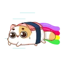 Sushi Cat 스티커