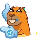 🎂 10 Years of Telegram 스티커
