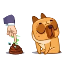 Harry The Frenchie 스티커